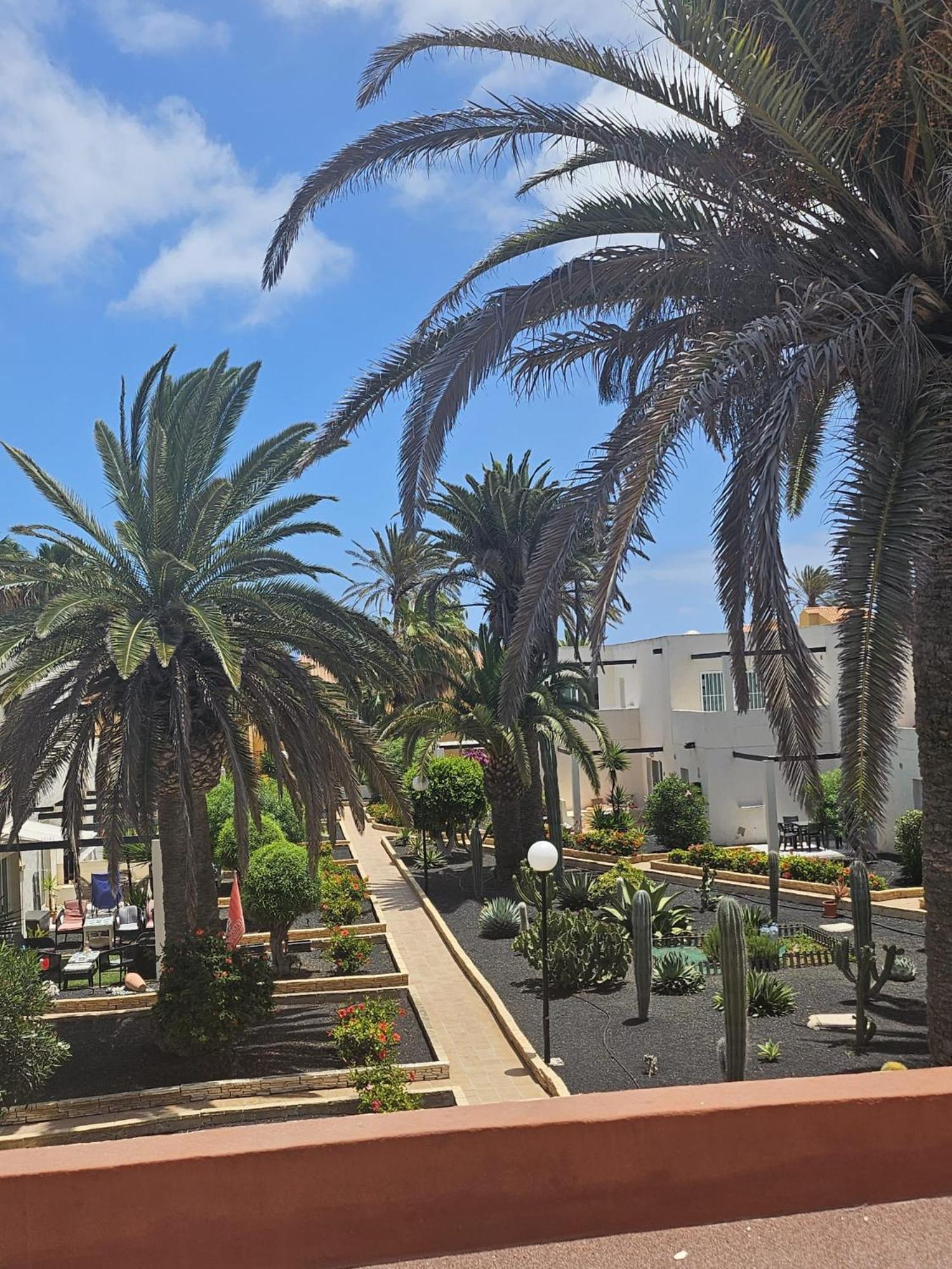 Apartament New Alisios Playa Corralejo Zewnętrze zdjęcie