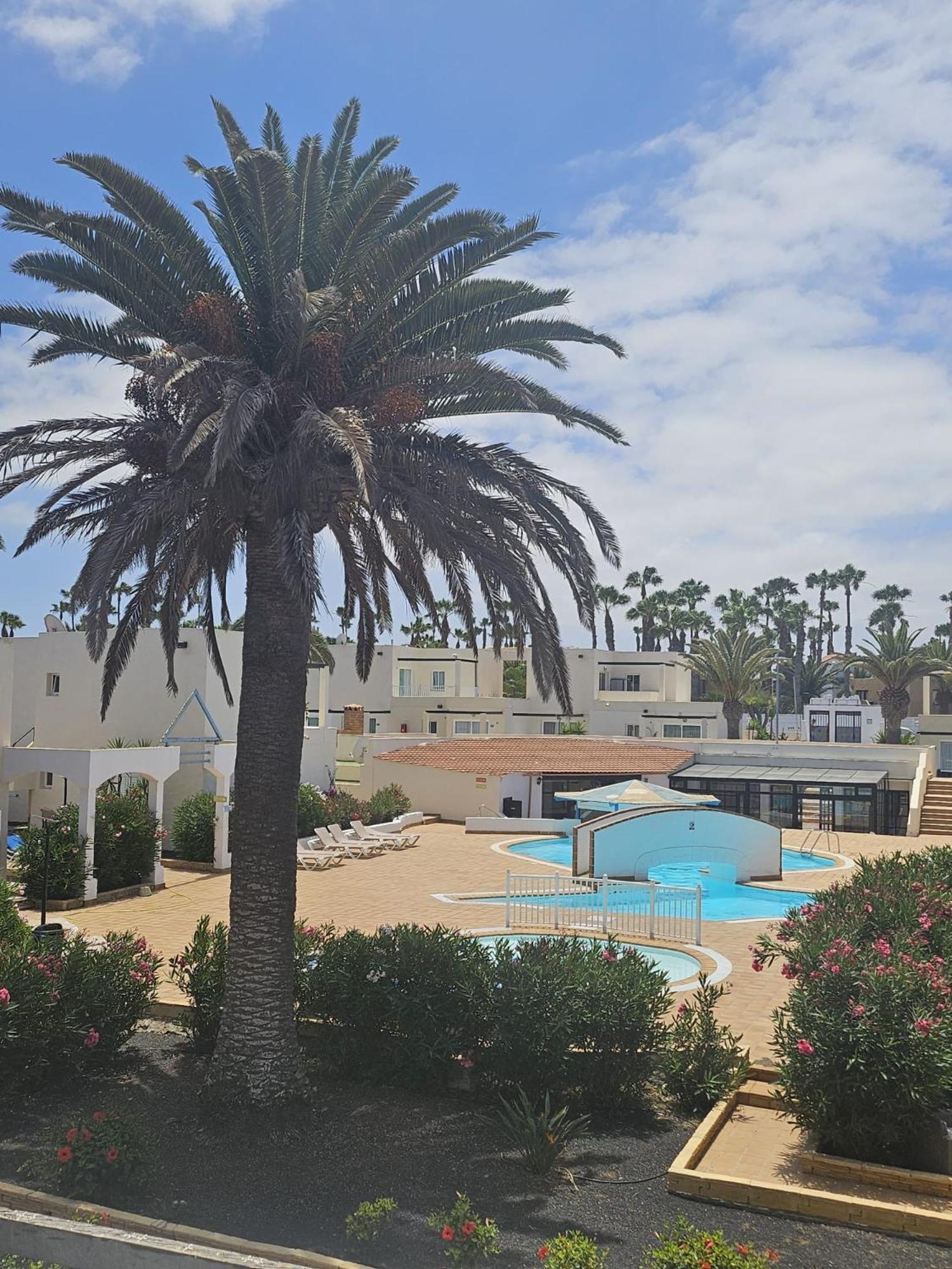 Apartament New Alisios Playa Corralejo Zewnętrze zdjęcie